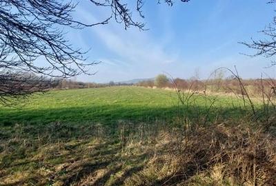 Teren Construcții extravilan de 34100 mp, în Central - 1