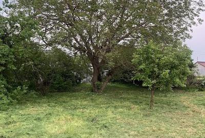 Teren de 1183 mp, în Surlari - 9