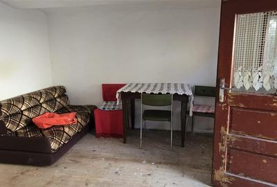 Case de vanzare in Mandra - 19
