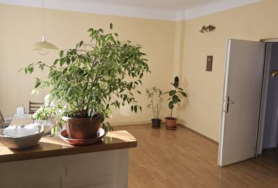 Chrie casa cart Andrei Muresanu - 6