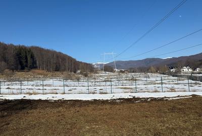 Teren Construcții intravilan de 4521 mp, în Valea Doftanei - 10