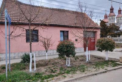 Casă cu 4 camere cu Teren 500 Mp în Central - 1