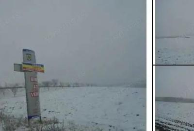 Teren Corbita, ID: R1984008 - 4