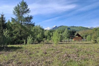 Teren de 3200 mp, în Viștișoara - 3