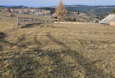 Spațiu comercial, în Măguri - 9