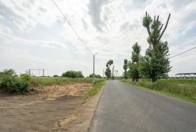 Teren Construcții intravilan de 30000 mp, în Cernica - 15
