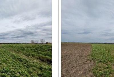 Teren de 20000 mp, în Andrieșeni - 10
