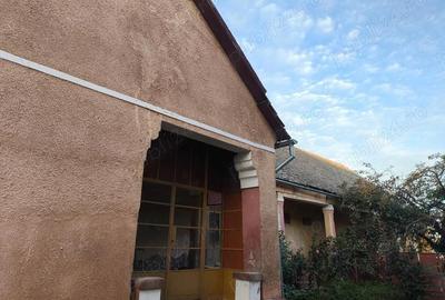 Casă cu 4 camere cu Teren 2518 Mp în Tomnatic - 4