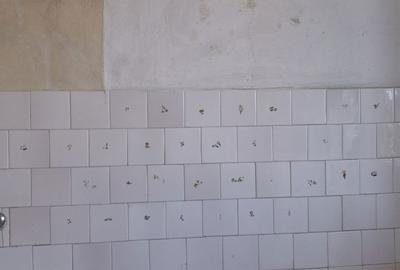 Apartament cu 2 camere semidecomandat în Grivița - 10