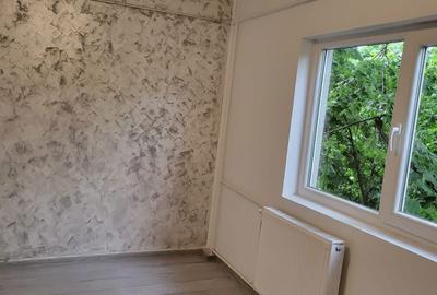 Apartament cu 2 camere semidecomandat în Paltiniș - 2