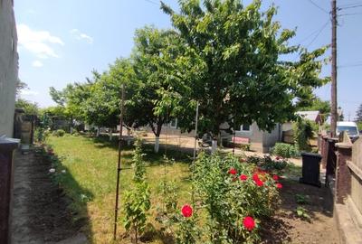 Casă individuală cu 5 camere în Domnești
