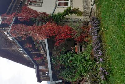 Casă cu 6 camere în Chiril - 8