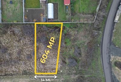 Teren intravilan casa individuala | Mosnita Noua - 1