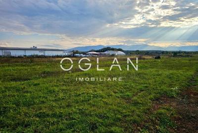 Teren Selimbar-DN1, comercial/industrial, COMISION 0% - 9