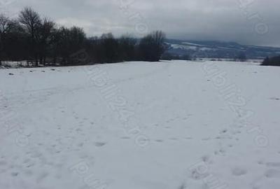 Teren de 3200 mp, în Capu Câmpului - 3