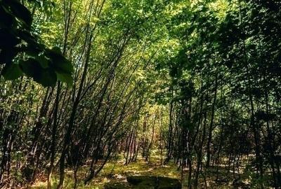 Teren în Trafic Greu - 3