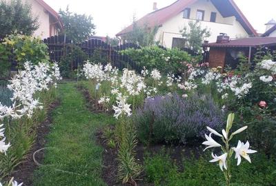 Bacau ,  Vila, la 5 minute de Centrul Orasului - 7