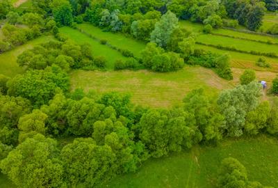Teren energie pura/zona curata si plina de vibratie inalta - 2