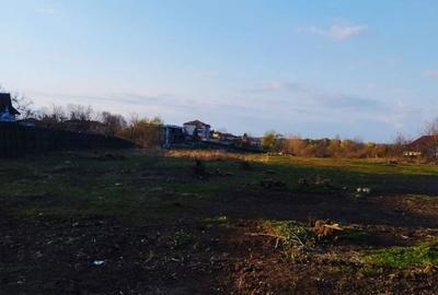 Teren de 4236 mp, în Snagov - 5