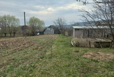 Teren de 3999 mp, în Central - 6