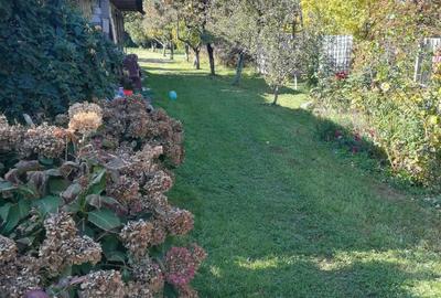 Casă cu 3 camere în Bunloc - 1