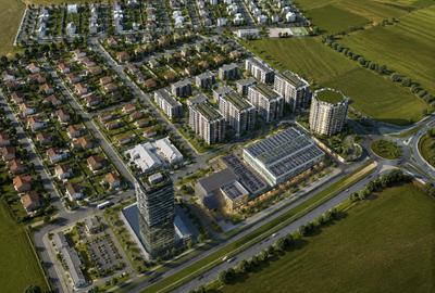 Teren Construcții intravilan de 9909 mp, în Remetea Mare - 4