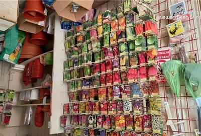Spațiu comercial, de 40 mp, în Sighișoara - 4