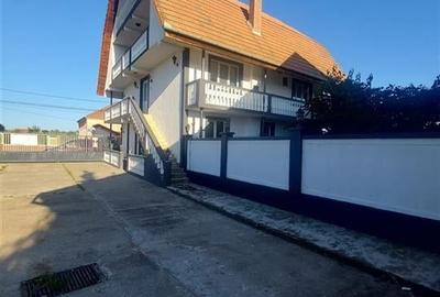 Casa cu 2 etaje si hala mare in Ineu de Cris - 10