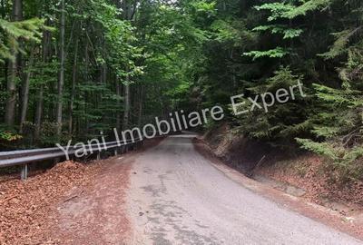 Teren de vanzare in apropiere de Transfagara?an ?i Valea Valsanului. - 1