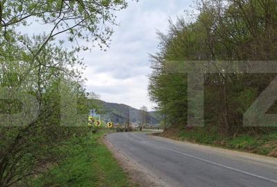 Teren de 12500 mp, în Șercaia - 7