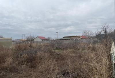 Teren de 954 mp, în Poiana - 3