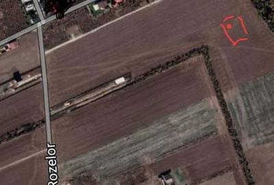 Spațiu comercial, în Balotești - 4