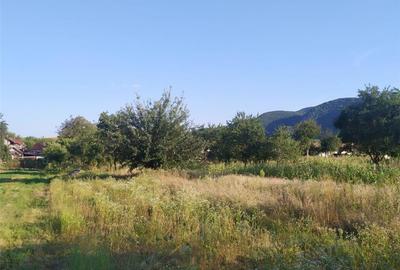 Teren de 2000 mp, în Brănișca - 2