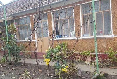Casă cu 3 camere cu Teren 1500 Mp în Fibiș