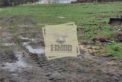 Spațiu comercial, în Șura Mică - 4