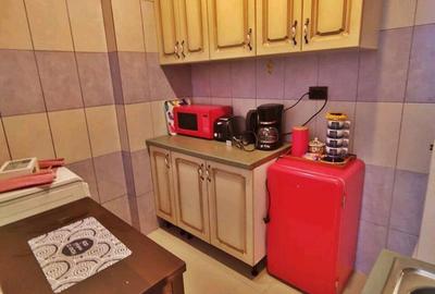 Apartament cu 2 camere semidecomandat în Unirii - 5