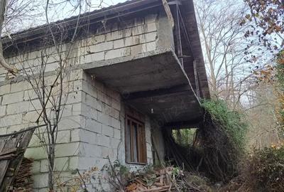 Casă cu 4 camere în Odvoș - 11