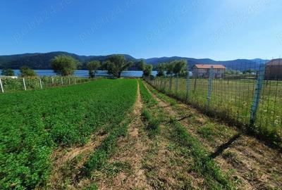 Teren de 2500 mp, în Berzasca - 12