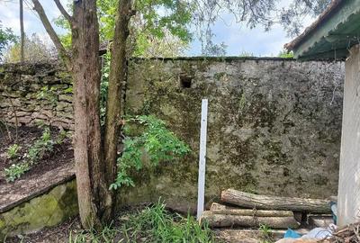 Casă cu Teren 2000 Mp în Cerchezu - 1