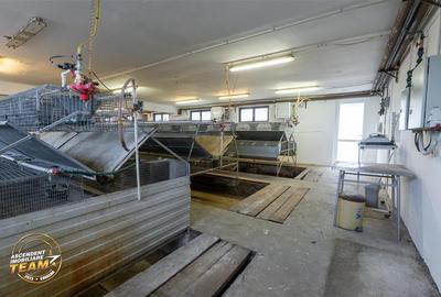 Spațiu comercial, de 794 mp, în Malnaș - 13