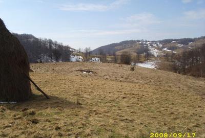 Teren intravilan Rosia, 12 000 mp, cu proiect aprobat. Comision 0. - 8