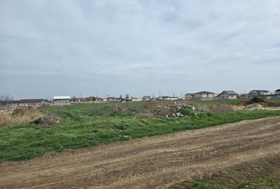 Vanzari terenuri in Ovidiu Vanzari terenuri in Ovidiu - 2