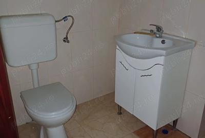 Vila de inchiriat D+P+E+M in zona Prefectura - 9