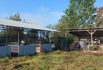 Casă cu 2 camere în Silagiu - 9