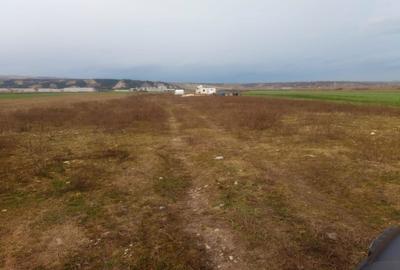 Spațiu comercial, în Mihai Viteazu - 6