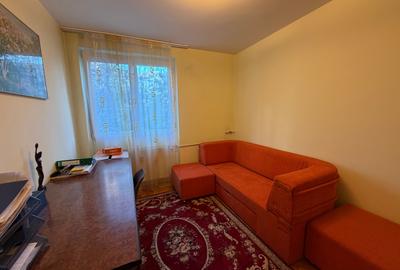 Apartament cu 3 camere semidecomandat, mobilat în Câmpia Libertății - 4
