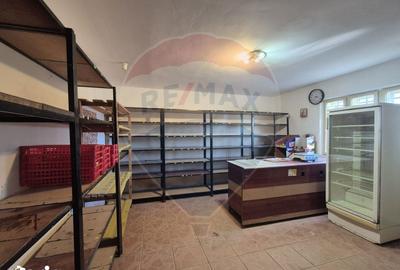 Casă cu 4 camere cu Teren 4700 Mp în Parincea - 12