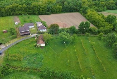 Casă individuală cu 3 camere cu Teren 3700 Mp în Arieșu de Pădure - 11