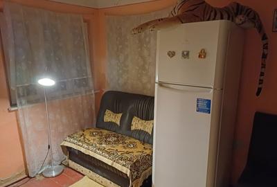 Casă individuală cu 3 camere cu Teren 2850 Mp în Alunișu - 11