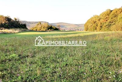 De vanzare 2 terenuri de 29.500 mp si 1.400 mp.29 euro mp - 4